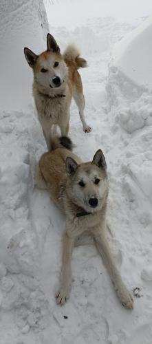 ���������� �� ��������