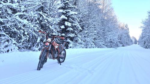 ������ ���������