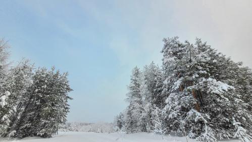 ������� ����