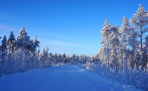 �������� ���� 