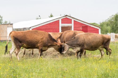 �� ������.