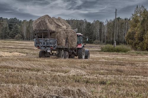 ��������� ���� �� ���� 