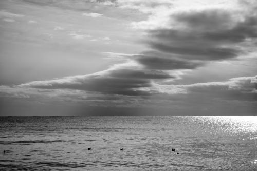 ������ ��� �����