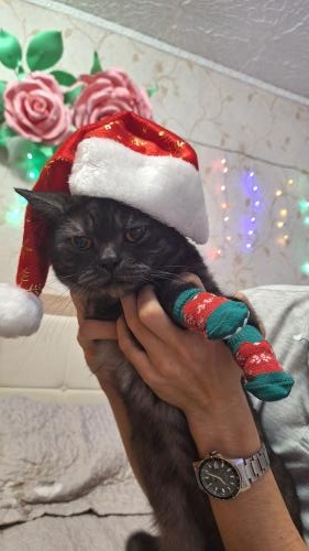 ����� ��� � ����� ������ �����