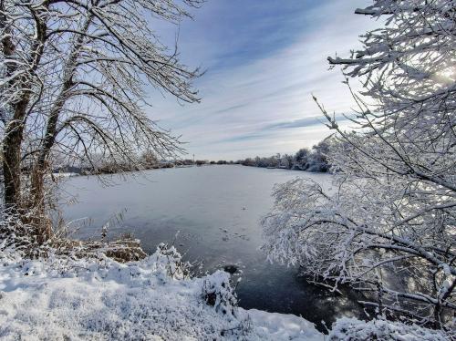 ���� �������