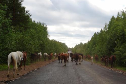 � ������ ���� ��-��� ����� ...