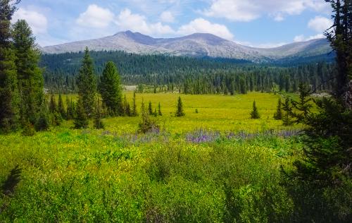 ������ �����