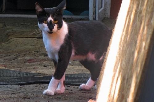 � ���, � �.