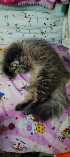 ����! ������!