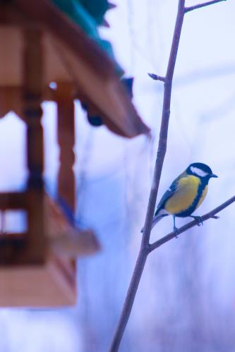 �������