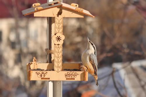 ���������. 