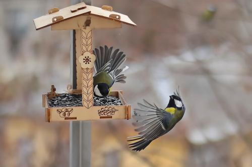 � ��������. 