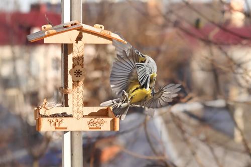 ������������. 