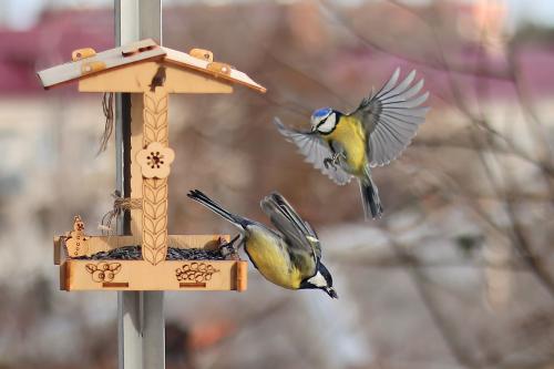 ��������� � �������. 