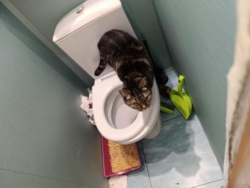 �� ������� ��!