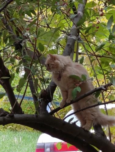 ��� ����, ���� � ����...