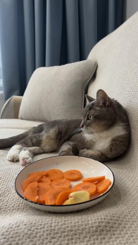 ����� ����������� 