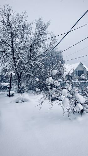 ��� � �����