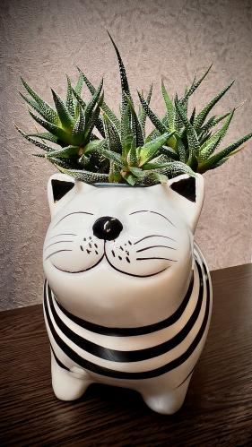 �������� ��������