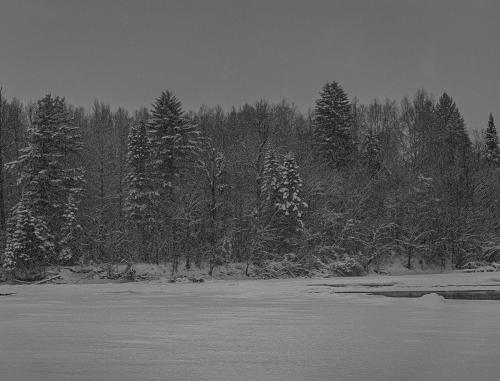 � ���� ����