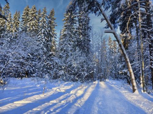 ���������� ���