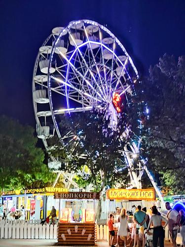 ������ ���������