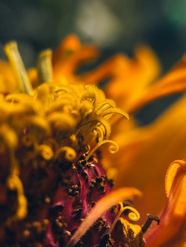 ��������� ������ 