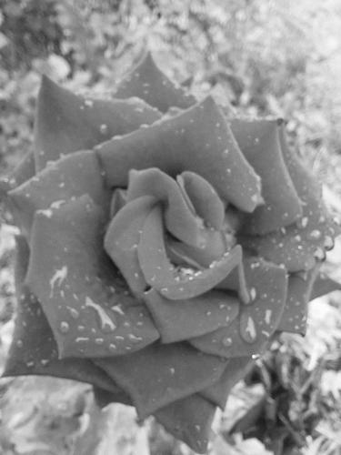 ���� ����