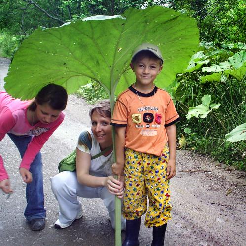 � ��� �� ����� ������� ������))