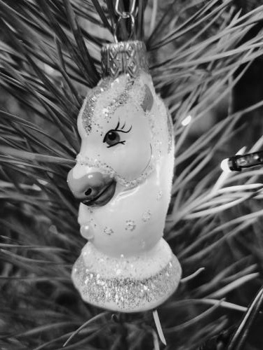 ������ ����