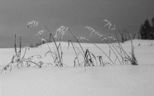 �� ����� ������ 