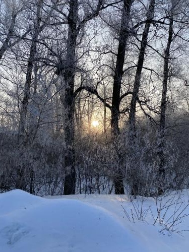 ���� � ������ ����