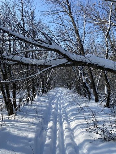 ������ �����