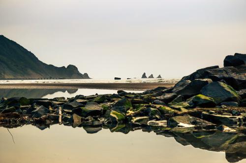 ��� ����� ��� �����