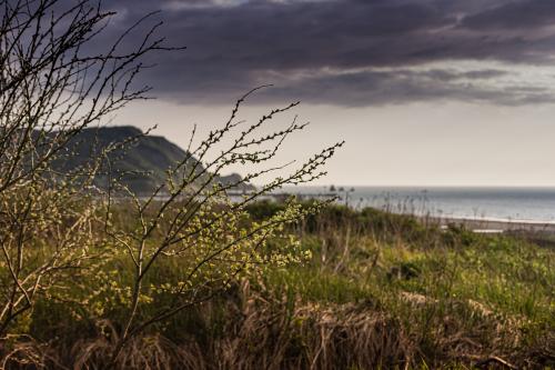 ����� ��������� ��������