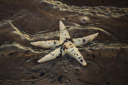 ������� �� ������