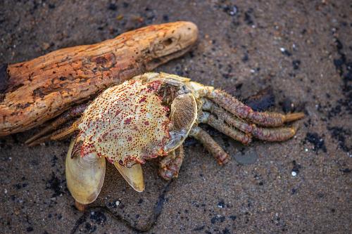 �� ��������� - �������, ������...