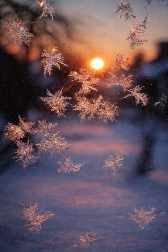 ��������� ��������