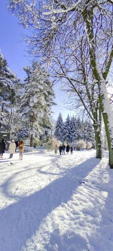 �������� � ����