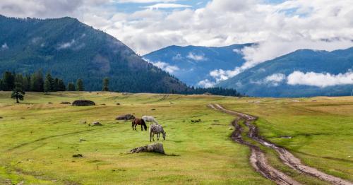 ���� � �����