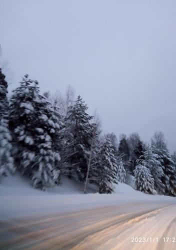 ������ ������