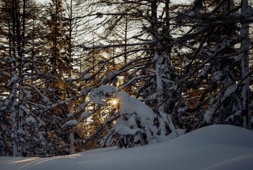 ���� ������ � ������ ����