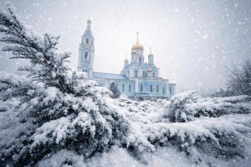 ����� ������� ��������� ����������