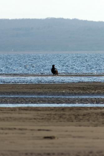 �����. ����������