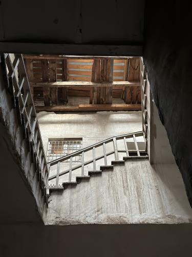 ������ ����