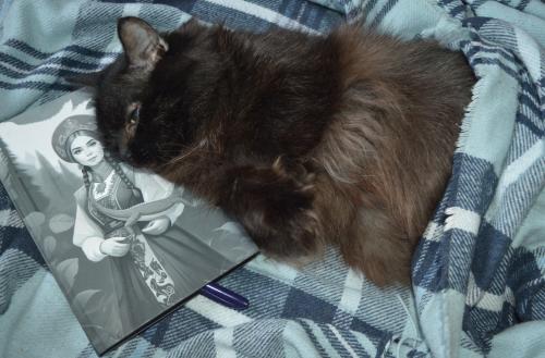 ���� �������