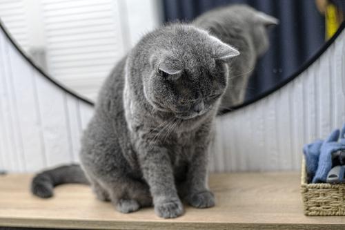 �� ������ ���� ���