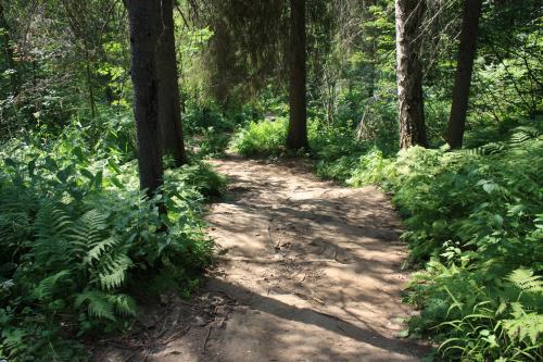 ����� ��������.