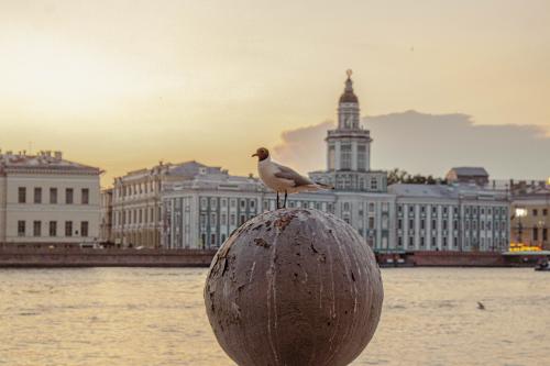 ��������� ����� � ����� ))