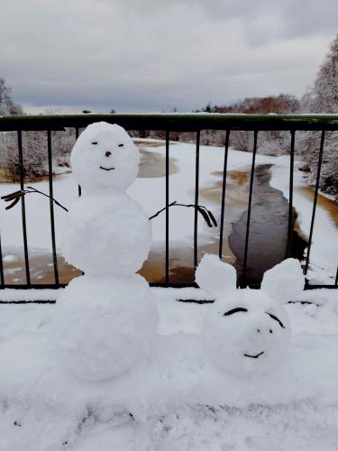 ������� ���� ���, ���� ���� ���� �����